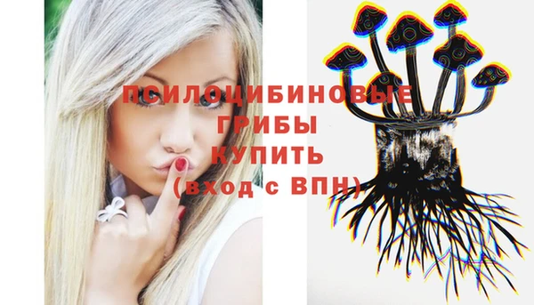 MDMA Premium VHQ Верхнеуральск
